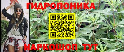 спиды Заволжье