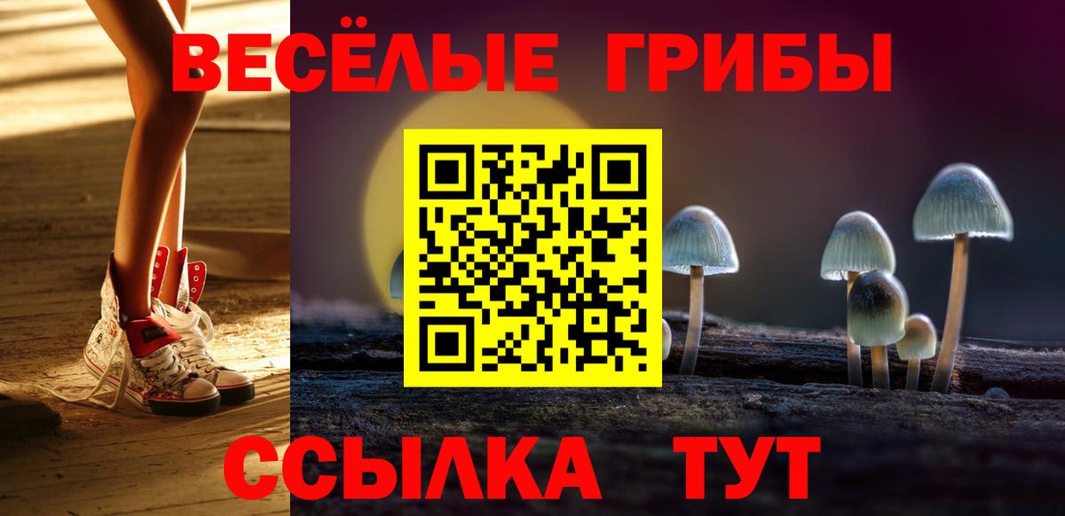 Псилоцибиновые грибы MAGIC MUSHROOMS Кунгур