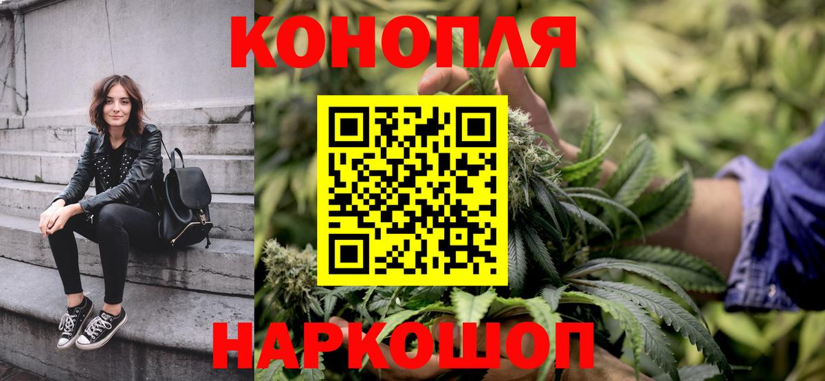 Каннабис план Кунгур